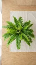 VR55320a.webp
