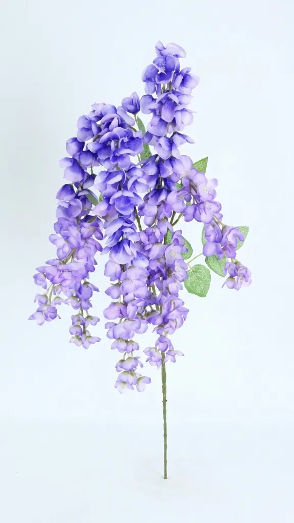 SOPHORA JAPONICA 1 MTS LAVANDA : 413094 : b.webp