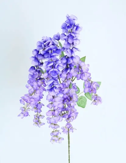 SOPHORA JAPONICA 1 MTS LAVANDA : 413094 : .webp
