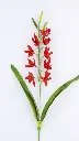 ORCHID SPRAY CON HOJA RED : 413668 : b.webp