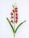 ORCHID SPRAY CON HOJA RED : 413668 : .webp