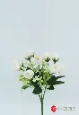 4130328 : 1177588122409  .webp