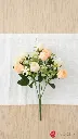 pomelli_photoshoot_image_9_16_0723 (8).webp