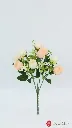 pomelli_photoshoot_image_9_16_0723 (9).webp