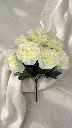 95423a.webp
