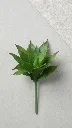 VRM2413:01  1.webp