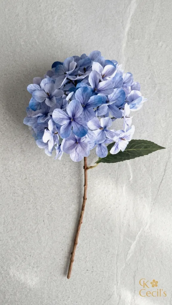 FS02404:02 3.webp