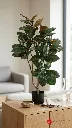 pomelli_photoshoot_image_9_16_0812 (5).webp