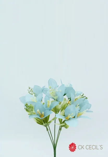[4130186] Alstromeria X 5 X 30Cm Blue.webp