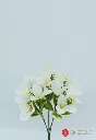 [4130185] Alstromeria X 5 X 30Cm White.webp