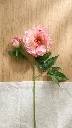 [413088] Peony Spray X 2 Fl 71 Cm (Pink)1.webp
