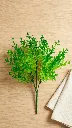 [413891] Policarpo Bush 31 Cm. Dark Green.webp