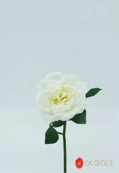 [4130238] Rose Spray 23 Cm. White.webp