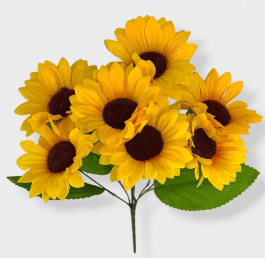 71093.webp