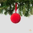 NA26028:03.webp