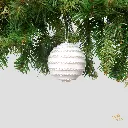 NA13111:01.webp