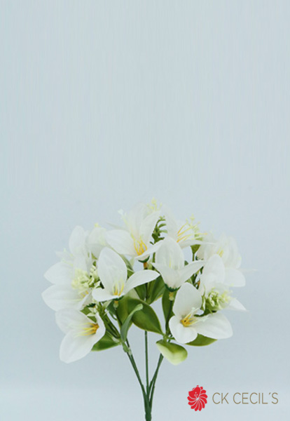 ALSTROMERIA X 5 X 30CM WHITE