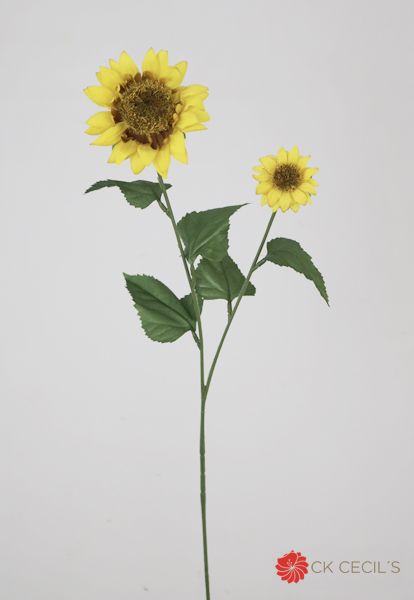 [4130220] Girasol X 2 Yellow