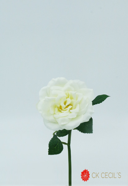 ROSE SPRAY 23 CM. WHITE