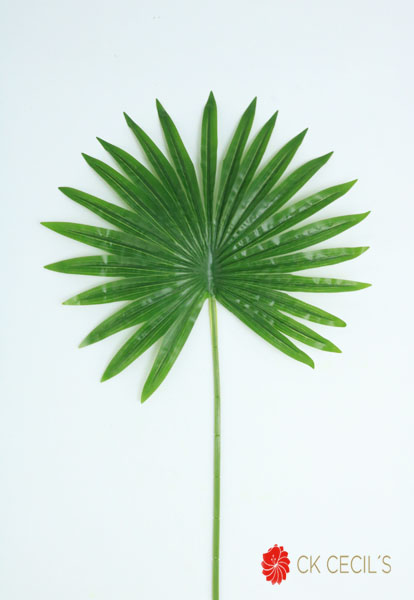 [4130261] Palm Spry 90 Cm. Green
