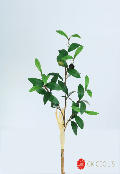 OLIVE BRANCH NAT.X38LVS.X1.10M T.T. GREEN