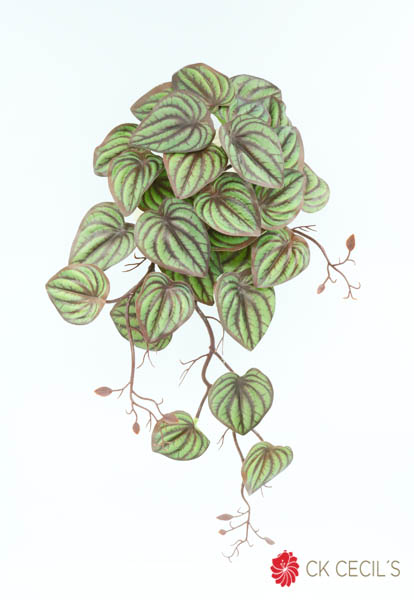 [4130289] Watermelon Green Red