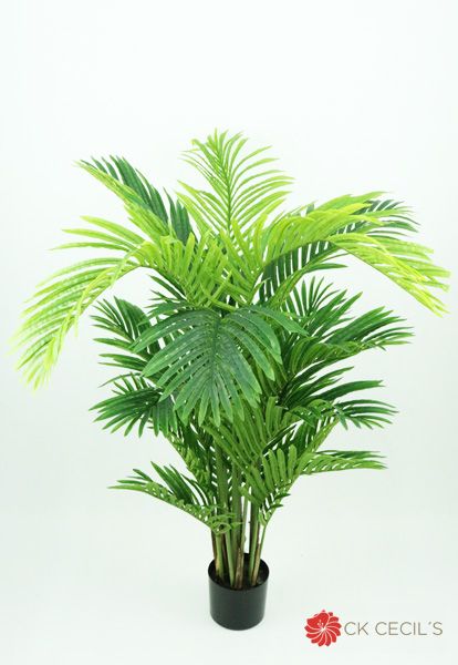 STYLE HAWAIAN PALM X18X1.20MT