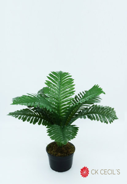 ARECA MINI X 9 X40CM