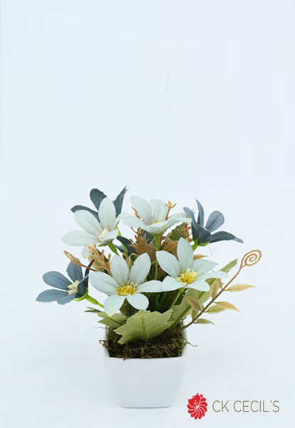 PLASTIC. CUAD.MINI CON DAISY / WH. BLUE