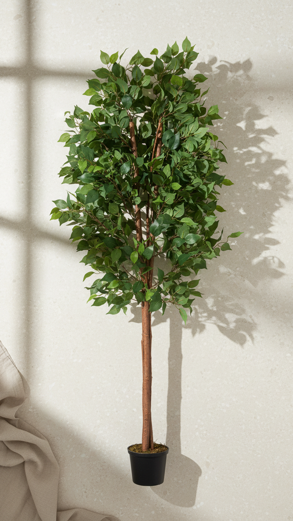 [4130313] Ficus Electrico X 18 X 1.80Mts / Green