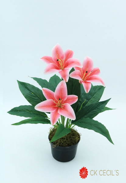 LILY BUSH X 7 41 CM. / PINK