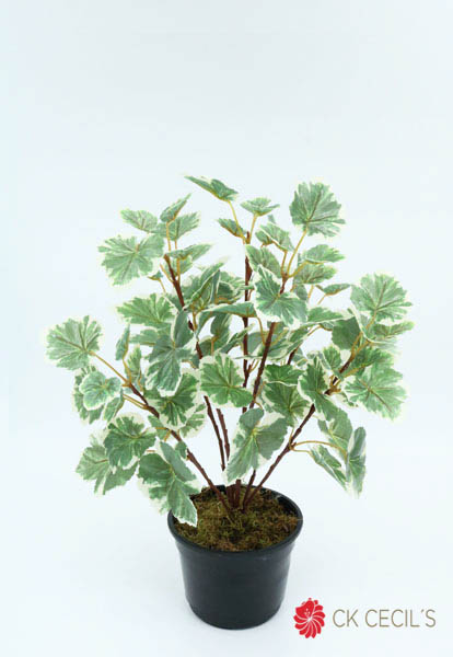 BEGONIA BUSH X 84 LVS X 40 CM / GREEN VR82684