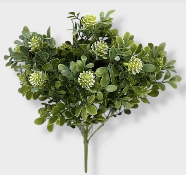 [180109] Mata C/Cardito 38Cm