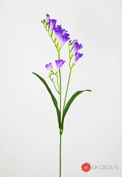 Freesia Spray X 65Cm Violeta