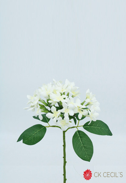 Stephanotis Spray X 39 Cm. Cream Fs22651