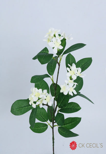 Stephanosis Spray 71 Cm Cream Fs22684