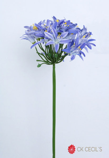 Agapanthus Stem 80 Cm Purple Fsg0040