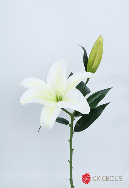 Casa Blanca Spray 68Cm White Fs26090