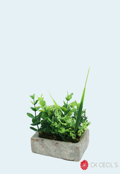 CAJON CH.PIEDRA C/EUC.MIX13X10 GR