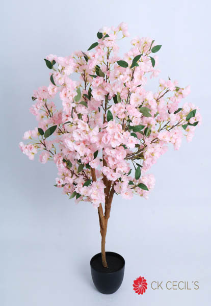 [4130396] Cherry Blossom Tree X 1.20Mts. Pink