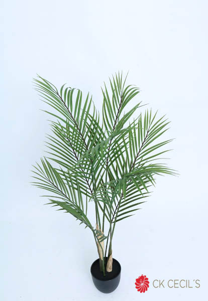 [4130401] New Areca Palm X 9Lvs. X 92Cm. T.T. Green