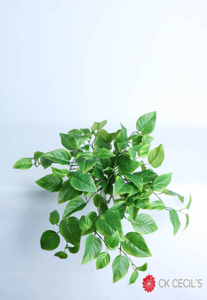 [4130447] Photos Bush X 41 Cm. Varigated