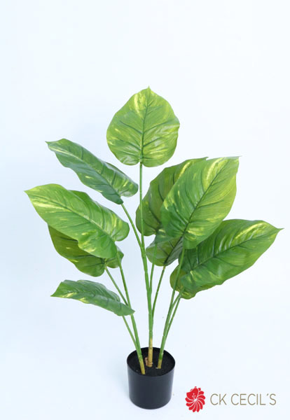 PHOTOS PLANT NAT X 76 CM. GREEN