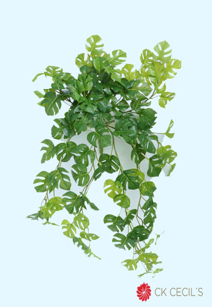 [4130460] Split Philo Caida Nat X 12X63C Green