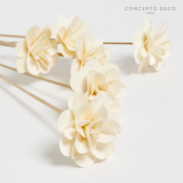 [165768] Flores Secas Bouquet Rose Cappucchino 56Cm