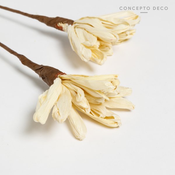 [165769] Flores Secas Bouquet Jazmine 57Cm