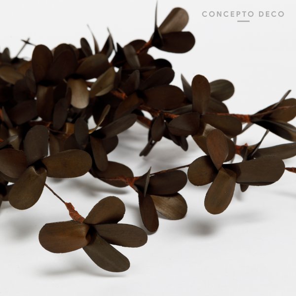 [165774] Flores Secas Bouquet Sponge Mushroom 69Cm