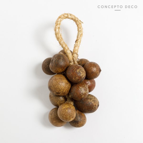 [165785] Flores Secas Bouquet Colgante Belani Natural 27Cm