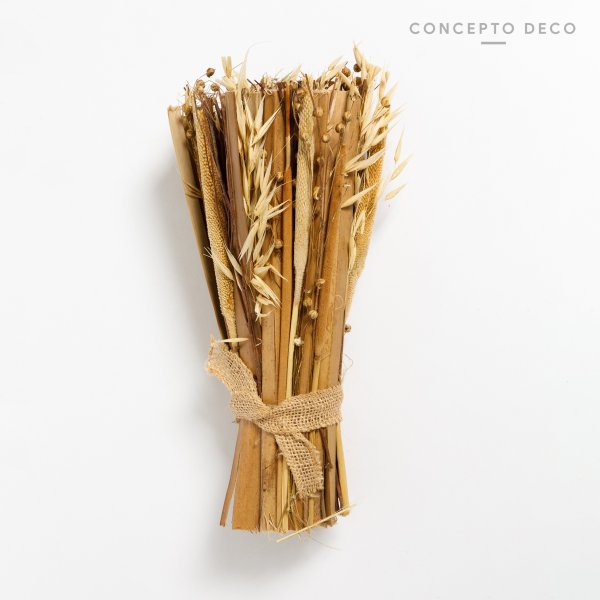 [165789] Flores Secas Sola 32Cm