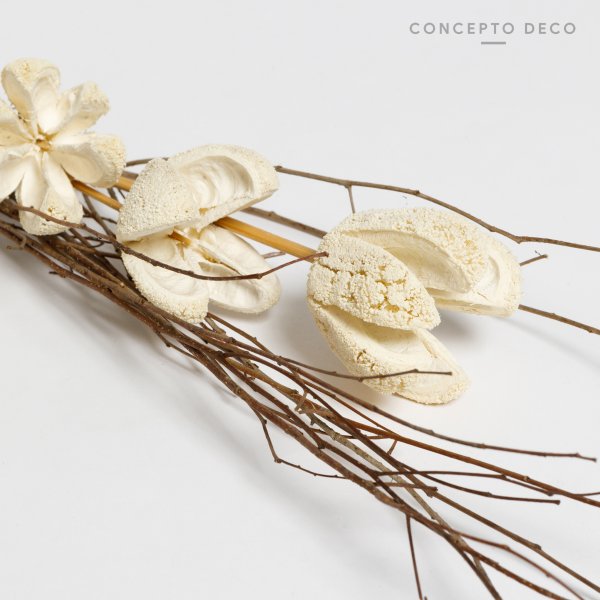 [165739] Flores Secas Bouquet Bullet Flower White 70Cm